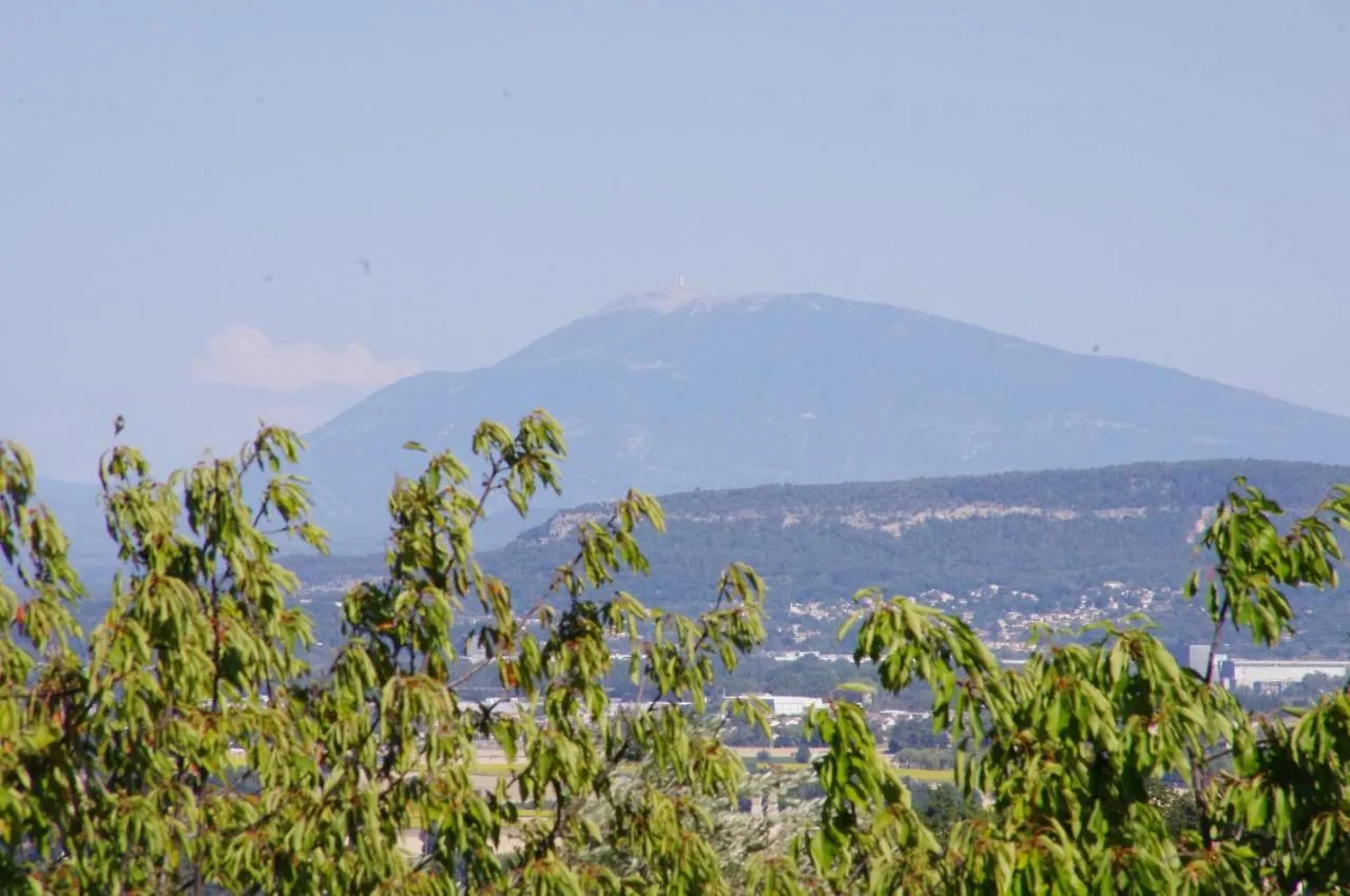 Bed & Breakfast Le Grand Cedre - 2 Chambres D'Hotes - Sud Ardeche Bourg-Saint-Andéol