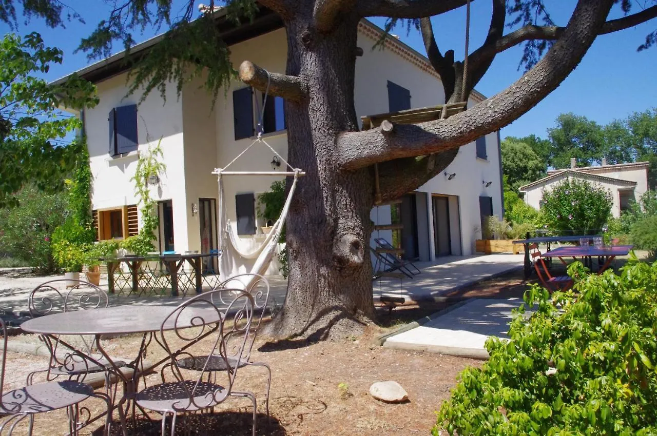 Bed & Breakfast Le Grand Cedre - 2 Chambres D'Hotes - Sud Ardeche Bourg-Saint-Andeol France