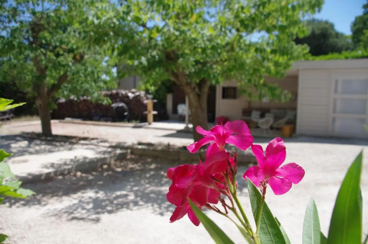 Bed & Breakfast Le Grand Cedre - 2 Chambres D'Hotes - Sud Ardeche Bourg-Saint-Andeol