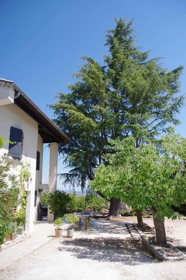 Le Grand Cedre - 2 Chambres D'Hotes - Sud Ardeche Bourg-Saint-Andéol Frühstückspension